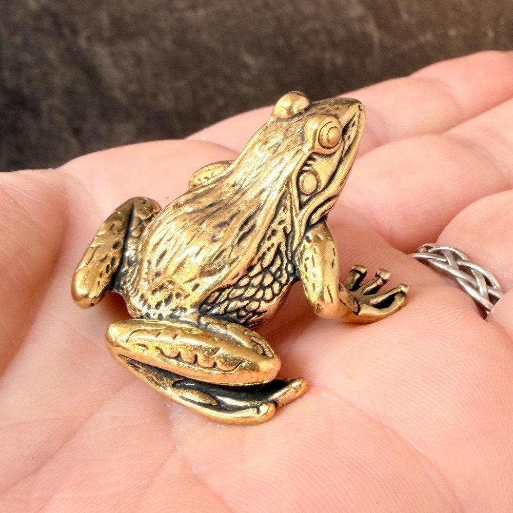 Brass Frog Figurine Miniature Transformation Totem Altar Decor Spirit Animal